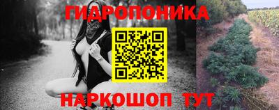 apvp Сланцы